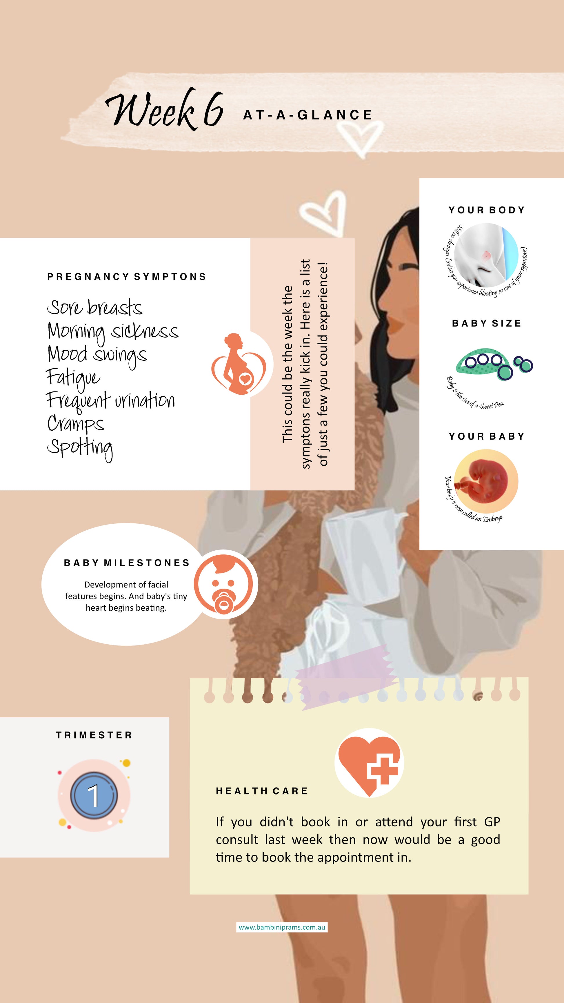 Pregnancy Week 6 At A Glance Card