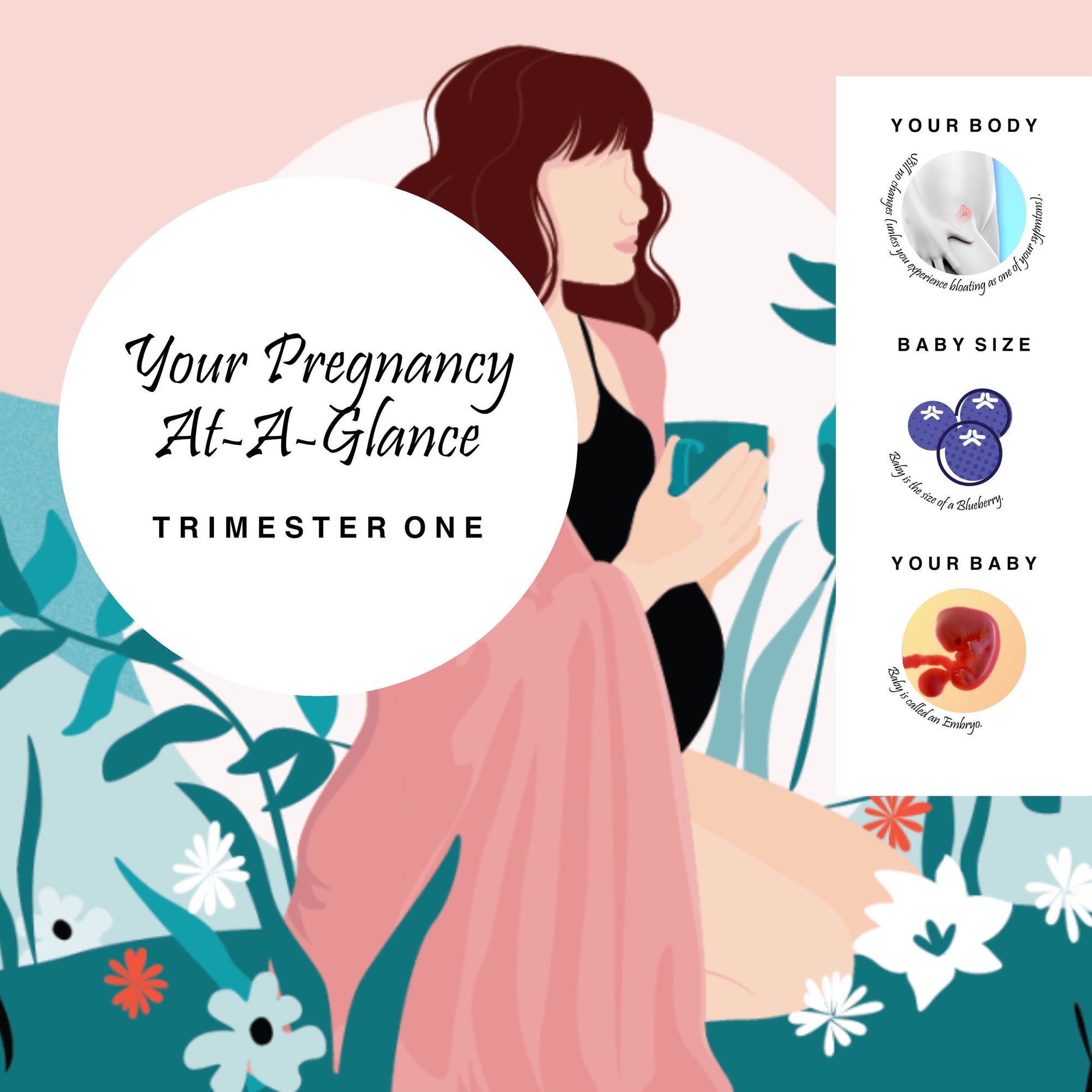 Image for article: Your Pregnancy At-A-Glance Trimester One