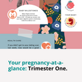 Your Pregnancy At-A-Glance: Trimester One [FREE Download]
